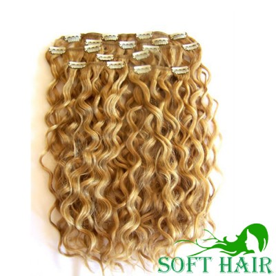 Human hair brazilian virgin curly blonde clip in hair extensions